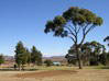 Burgersdorp Golf